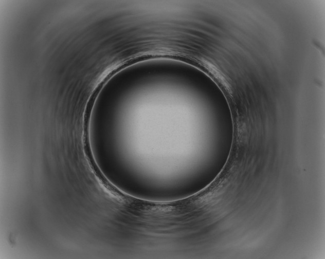X0000091450845200708231253