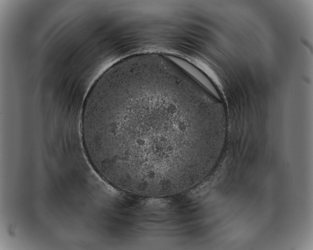 X0000091450847200708231253