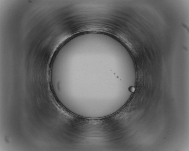 X0000091450848200708231253