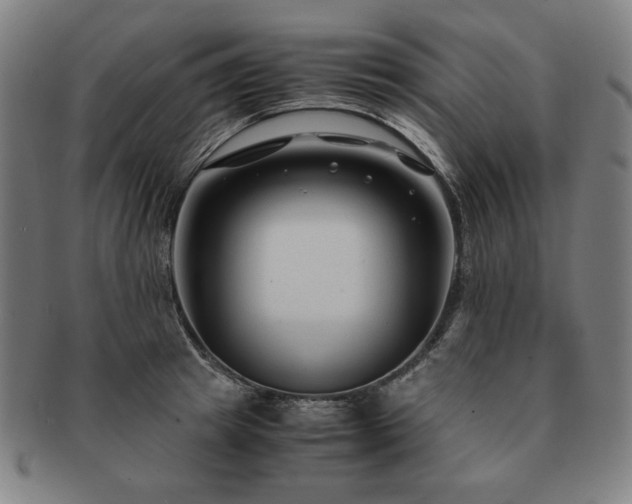 X0000091450849200708231253