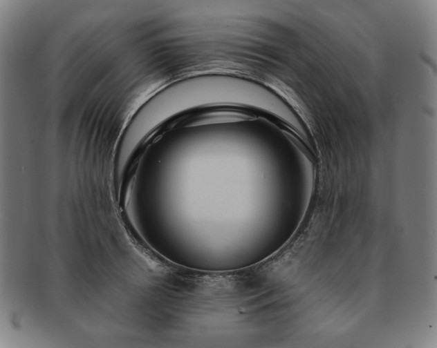 X0000091450850200708231253