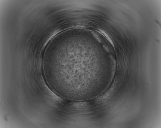 X0000091450851200708231253