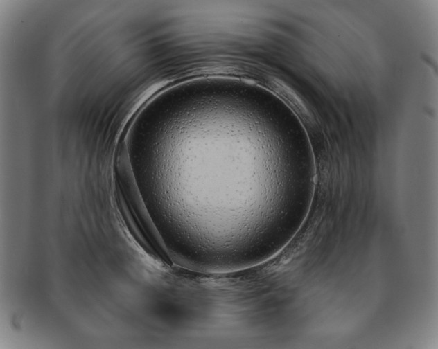 X0000091450852200708231253