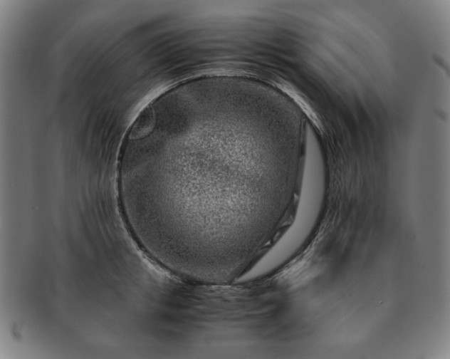 X0000091450853200708231253
