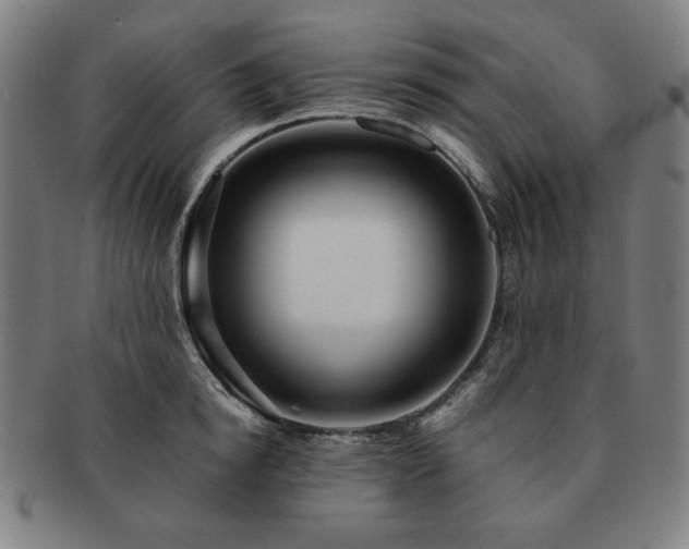 X0000091450854200708231253