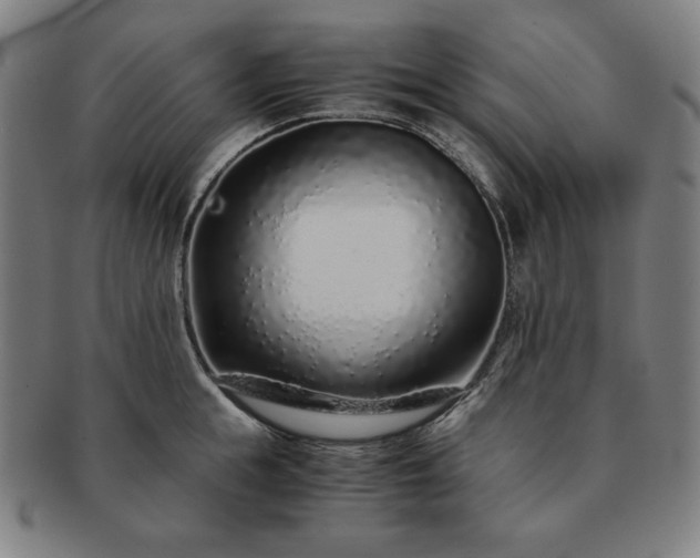 X0000091450855200708231253