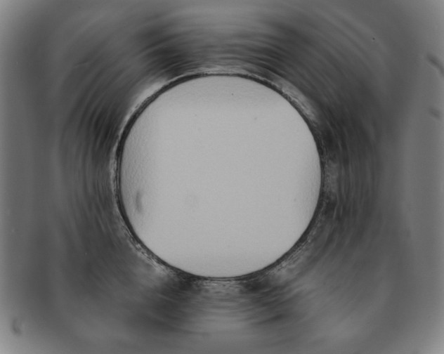 X0000091450856200708231253