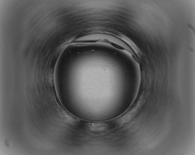 X0000091450857200708231253