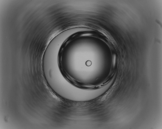 X0000091450858200708231253