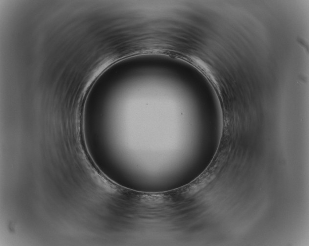 X0000091450859200708231253