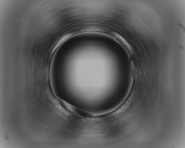 X0000091450860200708231253