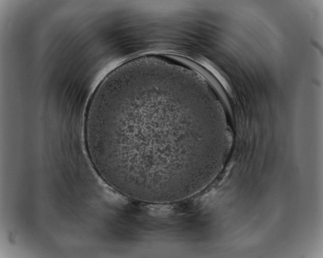 X0000091450861200708231253
