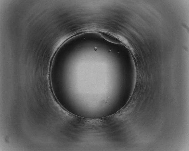 X0000091450863200708231253