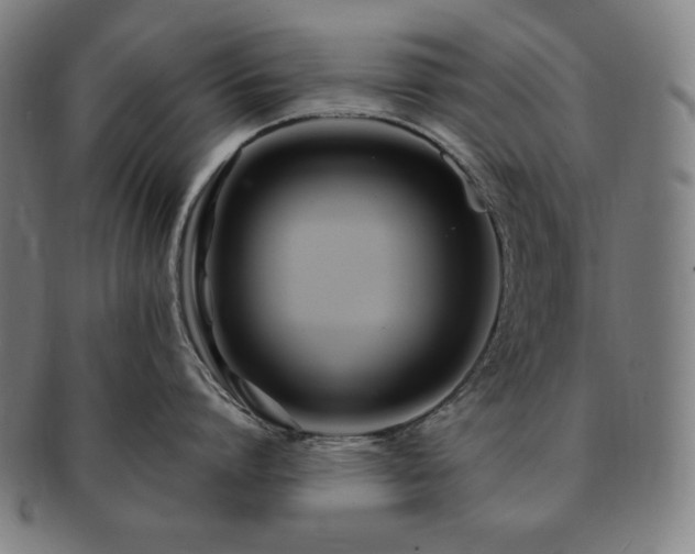 X0000091450864200708231253