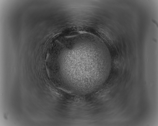 X0000091450865200708231253