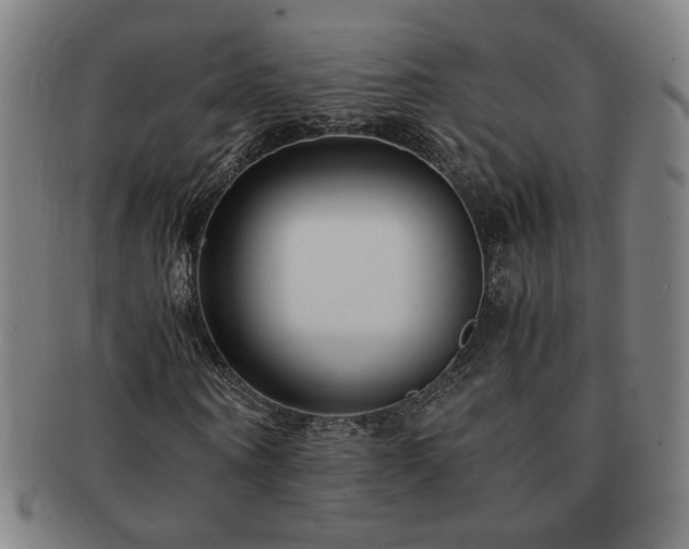 X0000091450866200708231253