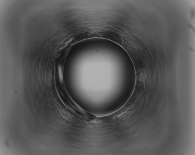X0000091450868200708231253