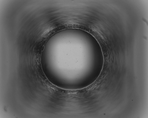 X0000091450870200708231253