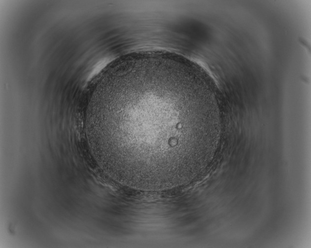 X0000091450871200708231253