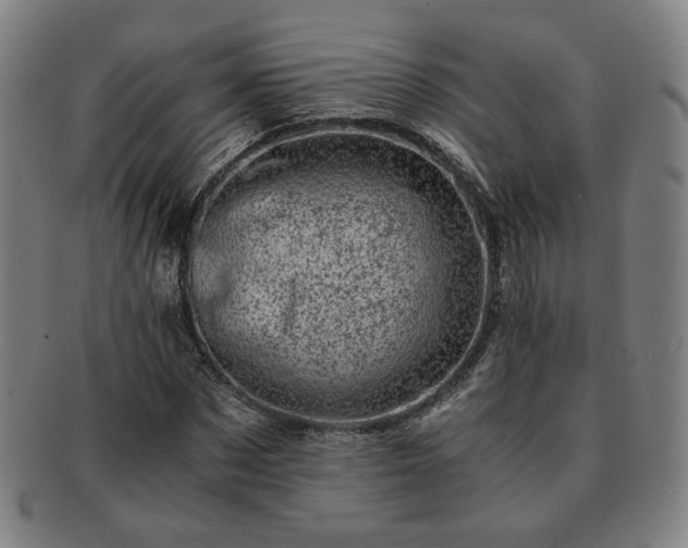 X0000091450873200708231253