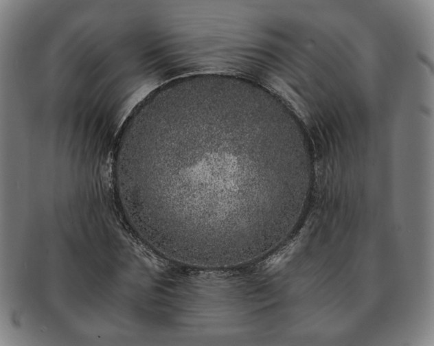 X0000091450875200708231253