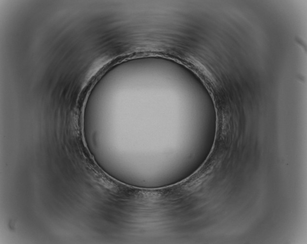 X0000091450878200708231253