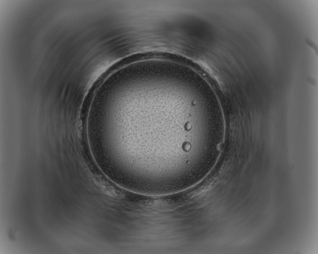 X0000091450879200708231253