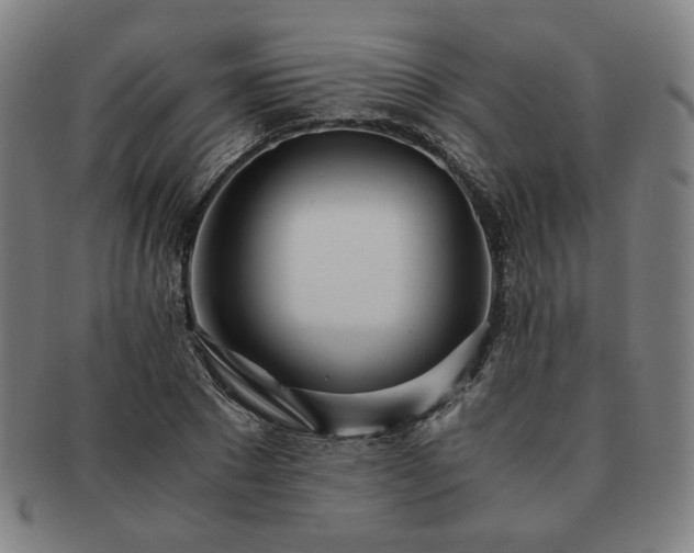 X0000091450881200708231253