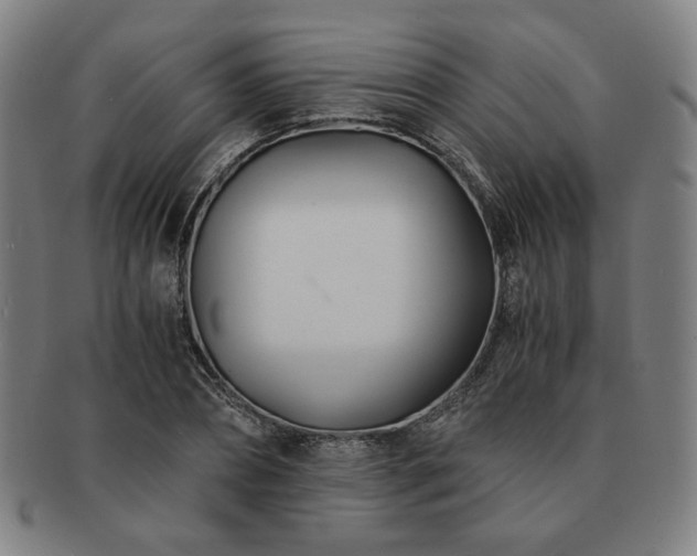 X0000091450882200708231253