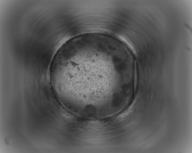 X0000091450883200708231253