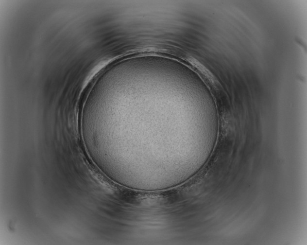 X0000091450886200708231252