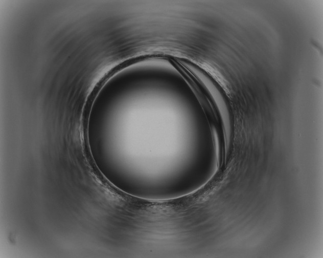 X0000091450888200708231252