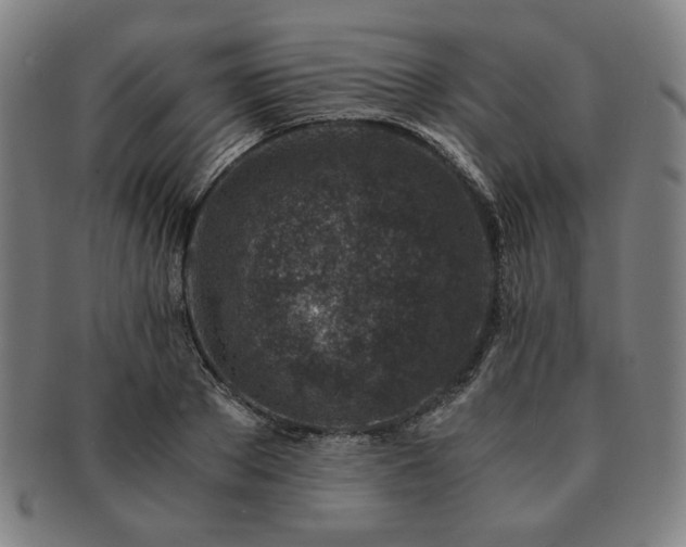 X0000091450889200708231252