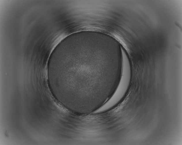 X0000091450891200708231252