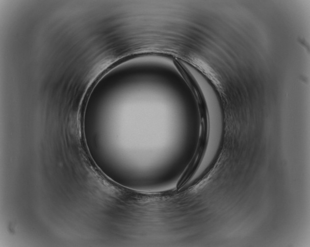 X0000091450892200708231252