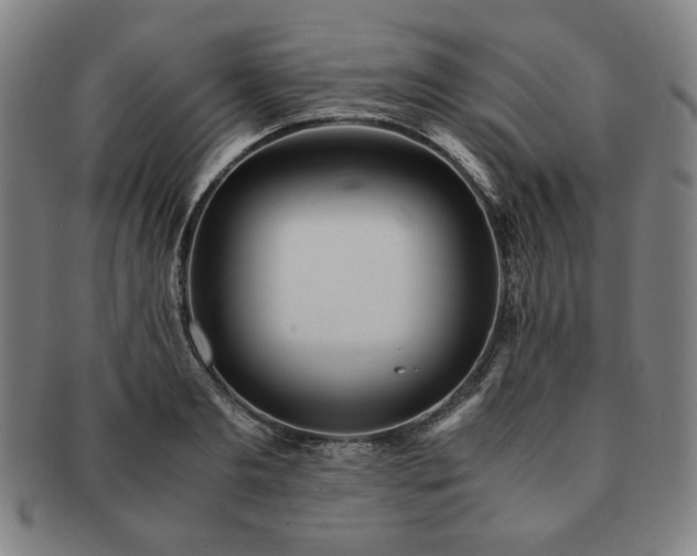 X0000091450893200708231252