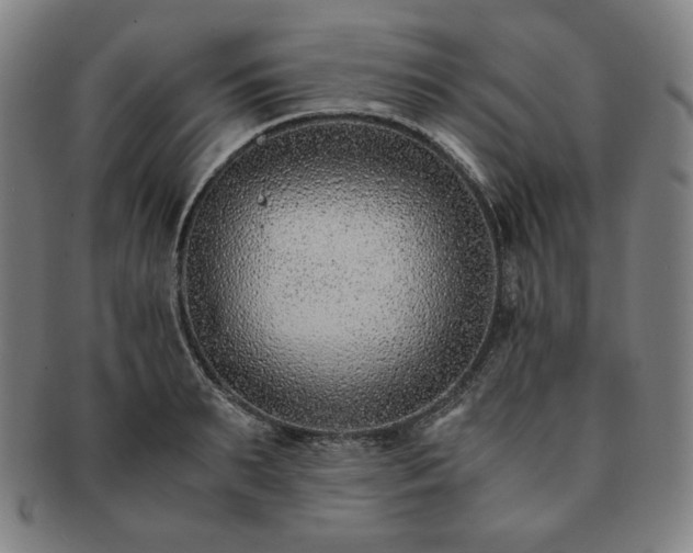X0000091450895200708231252