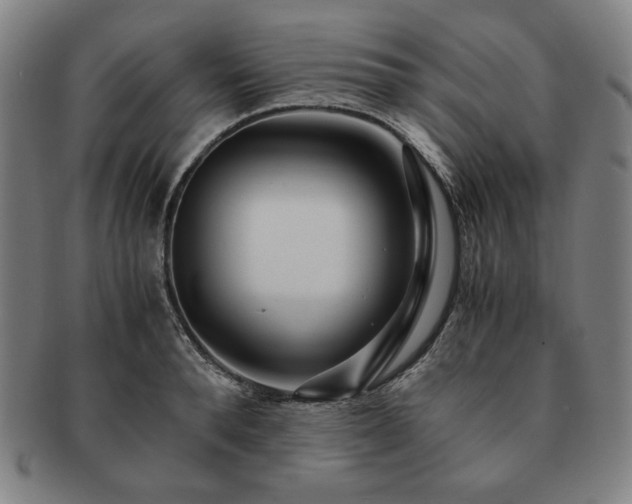 X0000091450896200708231252