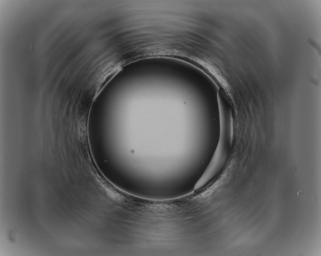 X0000091450897200708231252