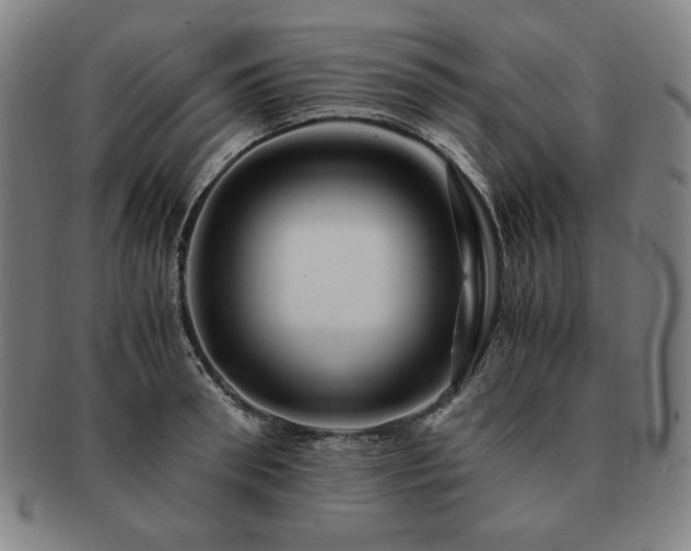 X0000091450898200708231252