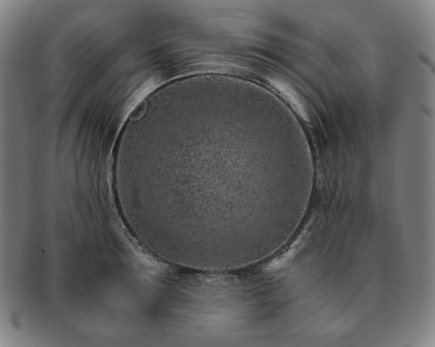 X0000091450899200708231252