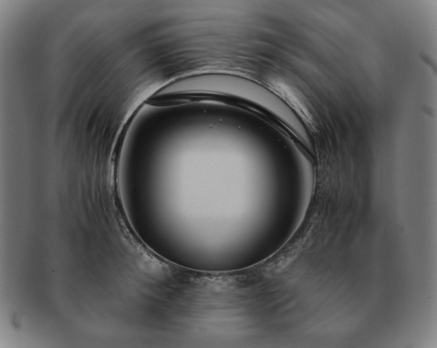 X0000091450900200708231252