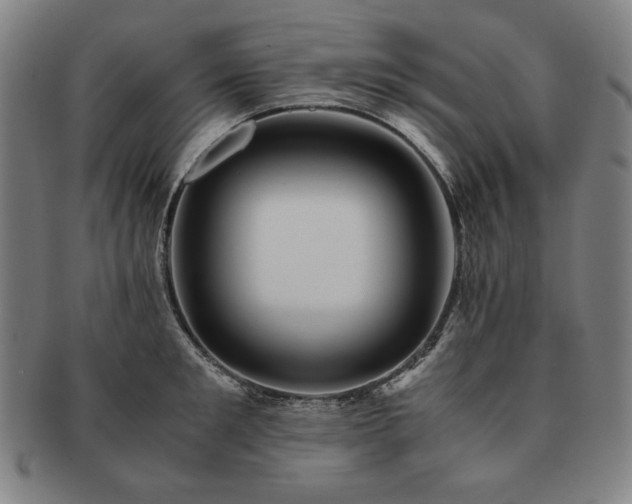 X0000091450901200708231252