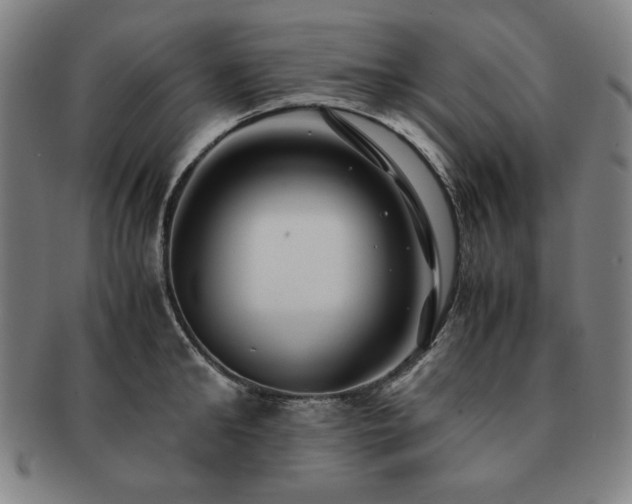X0000091450902200708231252