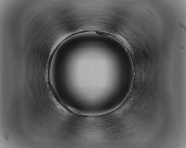 X0000091450904200708231252