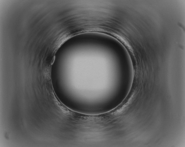 X0000091450905200708231252