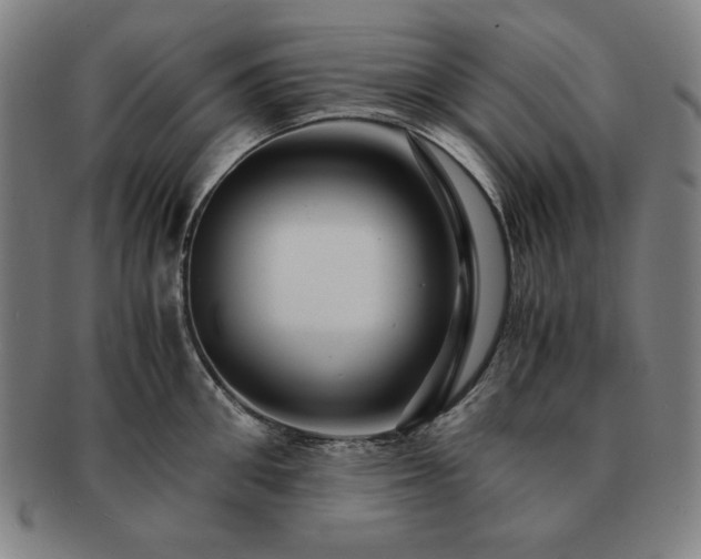 X0000091450906200708231252