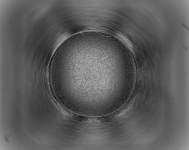 X0000091450907200708231252