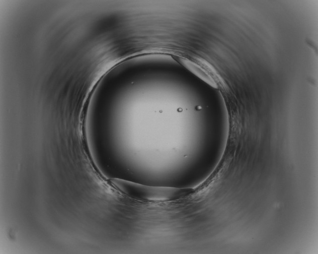 X0000091450908200708231252