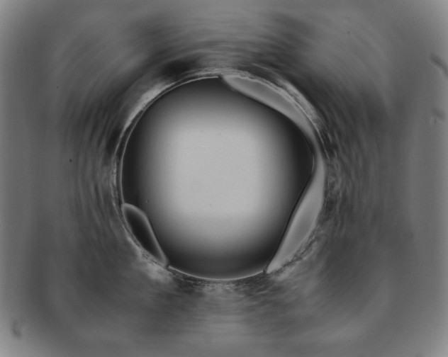 X0000091450909200708231252